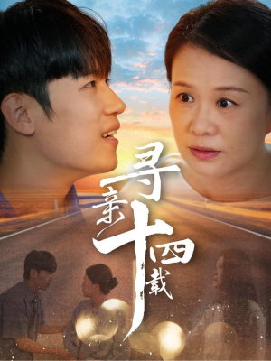 寻亲十四载（50集）在线看免费版