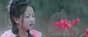 南柯梦（24集）精彩短剧推荐
