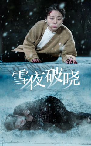 雪夜破晓（36集）大结局一气呵成
