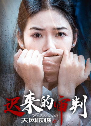 天网恢恢之迟来的审判（31集）免费短剧片段