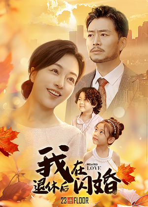 我在退休后闪婚（55集）精彩短剧随心推
