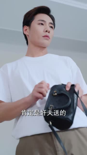 妻子不能说的秘密&妻子的秘密（30集）温柔追捕短剧