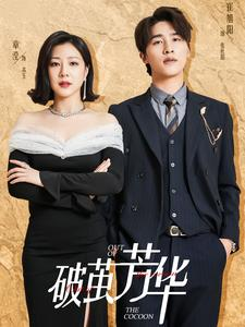 破茧芳华（80集）短剧抢先看