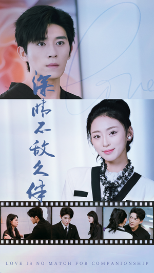 深情不敌久伴（50集）免费短剧就是爽