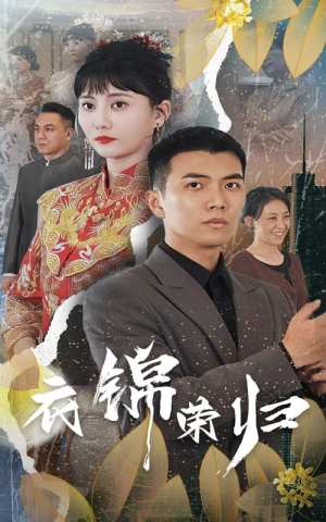 衣锦荣归（81集）热门短剧推荐