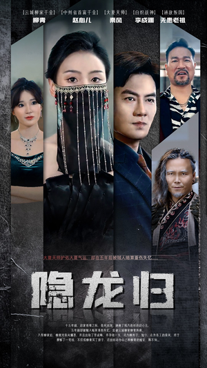 隐龙归（80集）口碑爆棚免费看