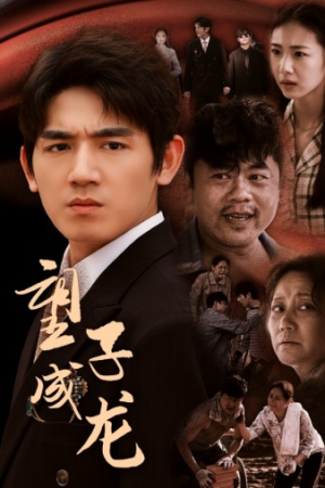 望子成龙（52集）高清无码免费看