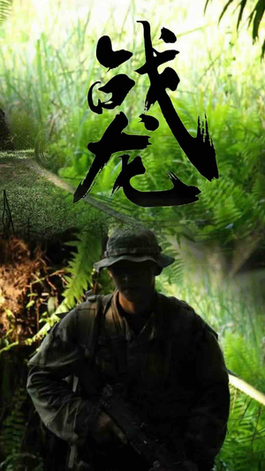 战龙（80集）在哪个平台能看