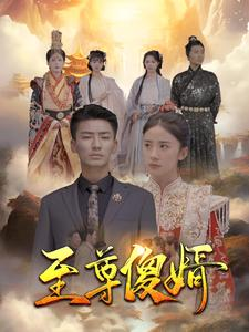 至尊傻婿（82集）小短剧推荐