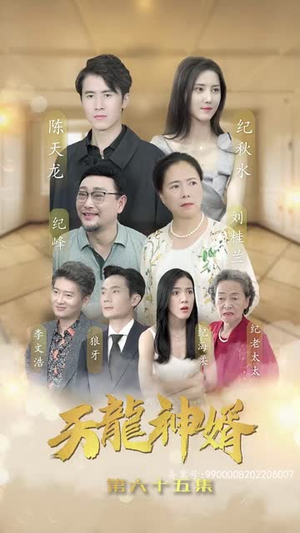 天龙神婿（80集）短剧推荐上热门