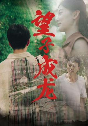 望子成龙（74集）免费热门短剧