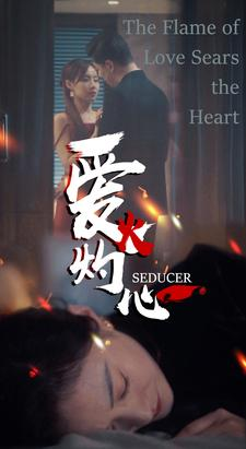 爱火灼心（99集）热门短剧分享