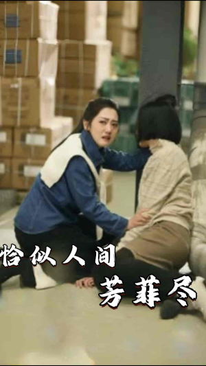 恰似人间芳菲尽（68集）1-102集