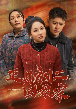 正月初二，回娘家（41集）免费观看完整版