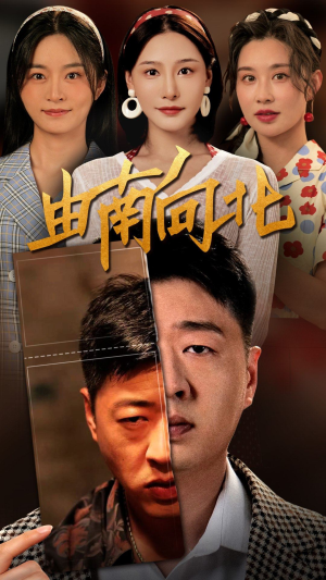 由南向北（88集）高清无码免费看