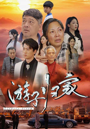游子归家（88集）新短剧推荐