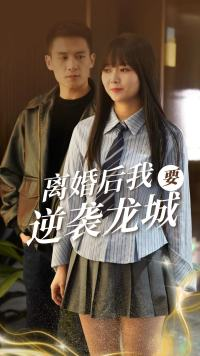 离婚后我要逆袭龙城（90集）免费短剧大全
