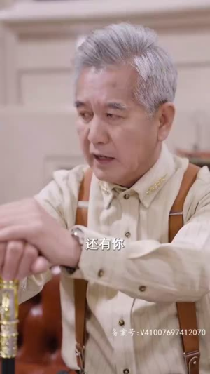 继承者的荣耀（79集）全集