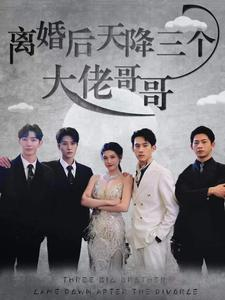 离婚后天降三个大佬哥哥（83集）免费热门短剧