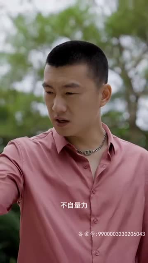归来成王（92集）全集