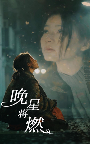 晚星将燃（93集）排行榜前十短剧