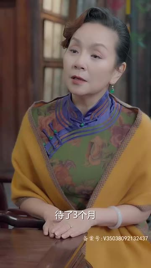 再见前夫（92集）免费看全集