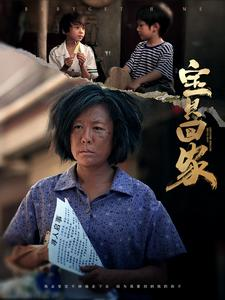 宝贝回家（80集）精彩短剧热播