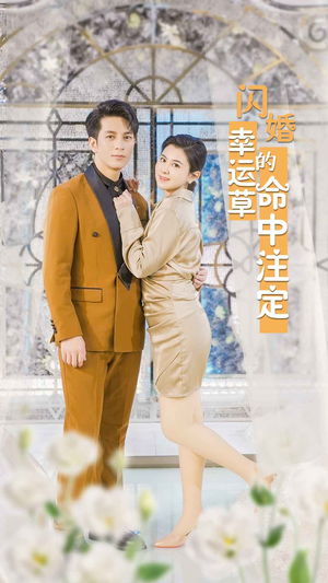 闪婚幸运草的命中注定（82集）甜宠短剧追到爽