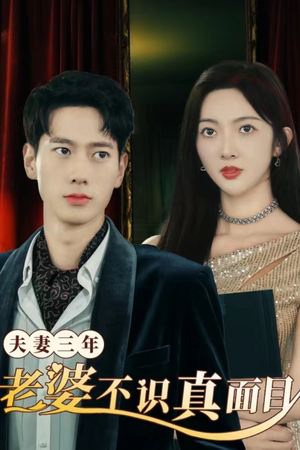 夫妻三年老婆不识真面目&苍穹之上（83集）完整版