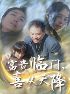 富贵临门，喜从天降（18集）一共多少集