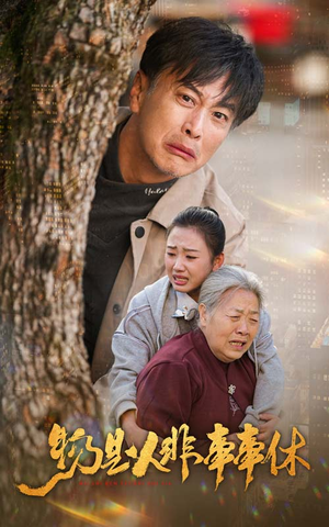 物是人非事事休（41集）免费在线看全集