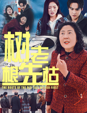 树老根先枯（33集）完整版免费观看