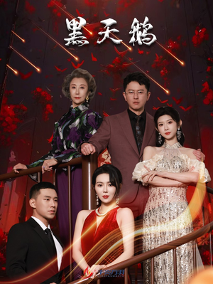 黑天鹅（51集）看短剧放松一下