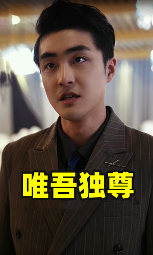 唯吾独尊（96集）免费看