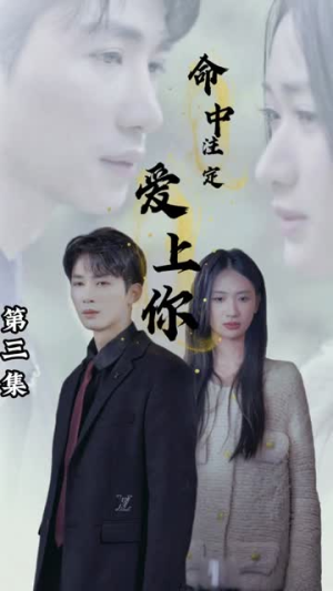 命中注定爱上你（96集）短剧热门合集