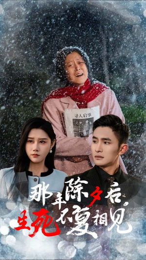 那年除夕后生死不复相见（48集）高分推荐免费看
