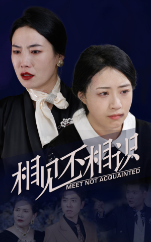 相见不相识（34集）好看的短剧推荐