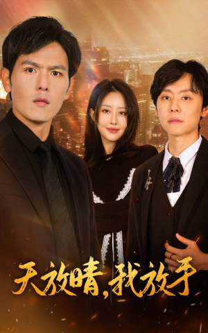 天放晴，我放手（35集）好看短剧追不停