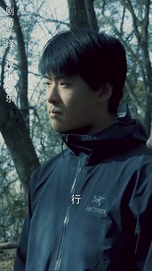 身份盲区（12集） 短剧热门合集