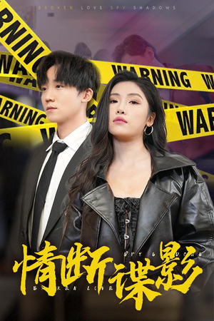 情断谍影（30集）火爆热门短剧