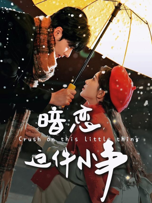 暗恋这件小事（100集） 热门爆款短剧