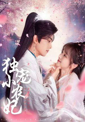 独宠小农妃（63集） 简直不要太好看