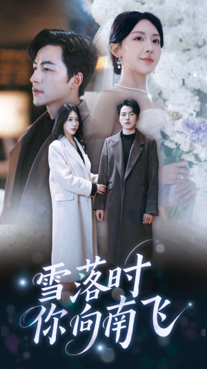 雪落时你向南飞（34集）在线看免费版
