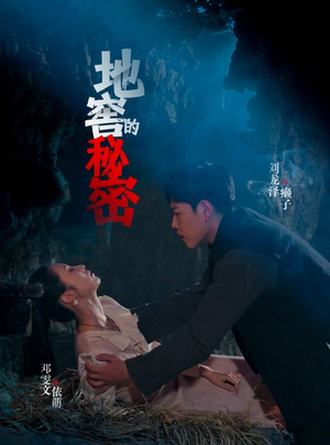 地窖的秘密（40集）免费看