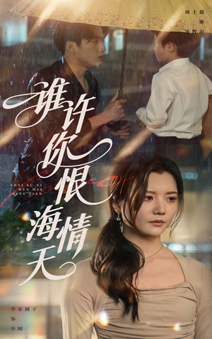 谁许你恨海情天（50集）大结局一气呵成