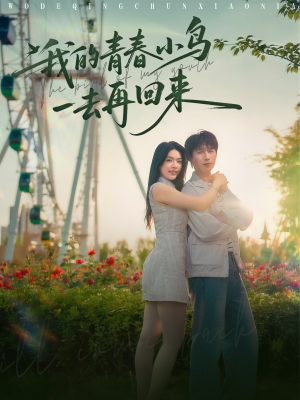 我的青春小鸟一去再回来（95集）精彩好看短剧