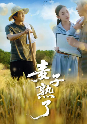 麦子熟了（52集）短剧精彩绝伦