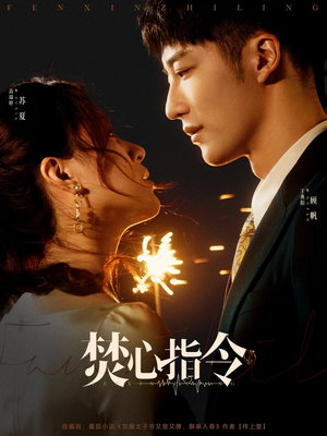 焚心指令（80集）全集免费观看