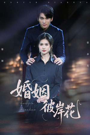婚姻彼岸花（63集）短剧太精彩