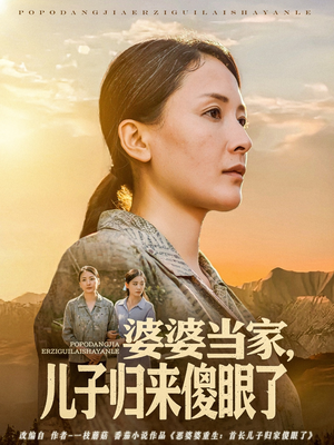 婆婆当家儿子归来傻眼了（80集）精彩短剧热播中
